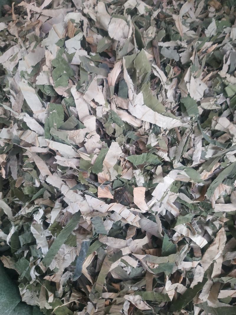 荷叶～荷叶丝@~新货量大优惠～1公斤起售~欢迎咨询采购