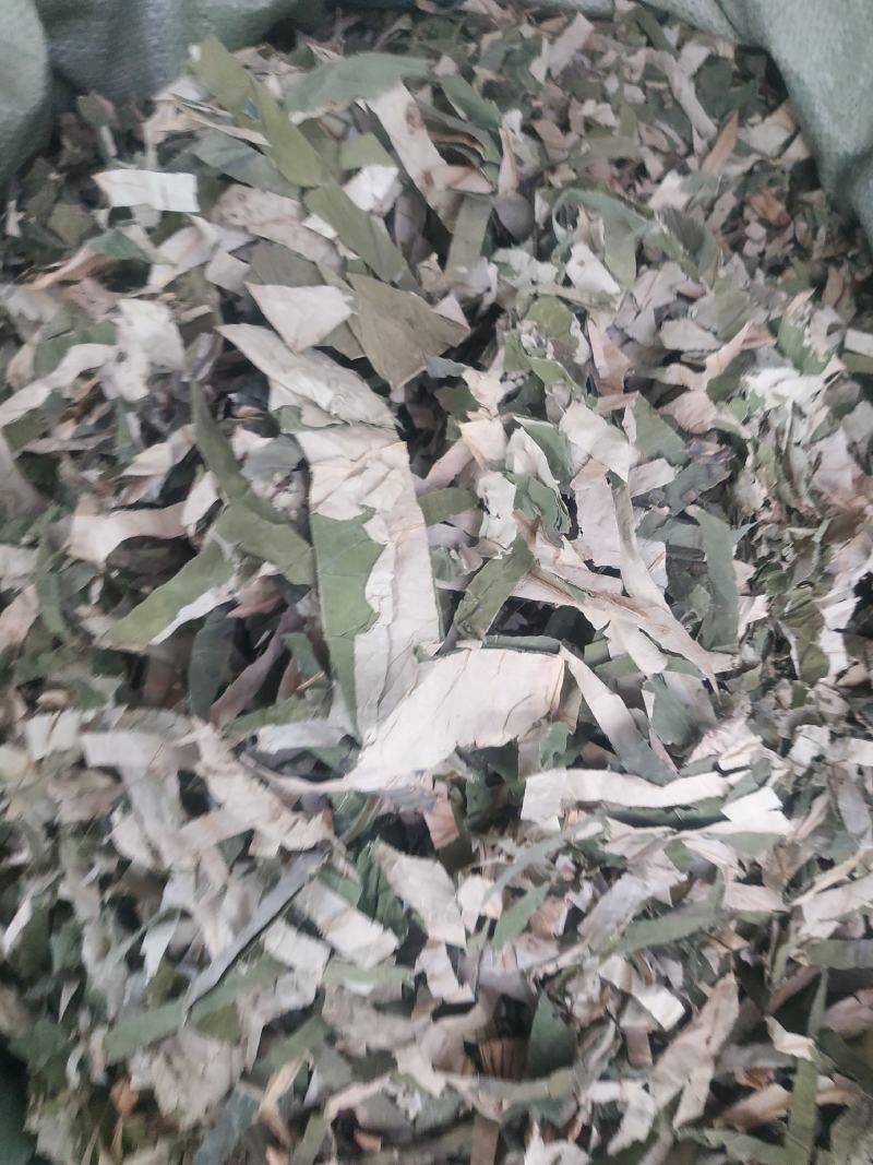 荷叶～荷叶丝@~新货量大优惠～1公斤起售~欢迎咨询采购