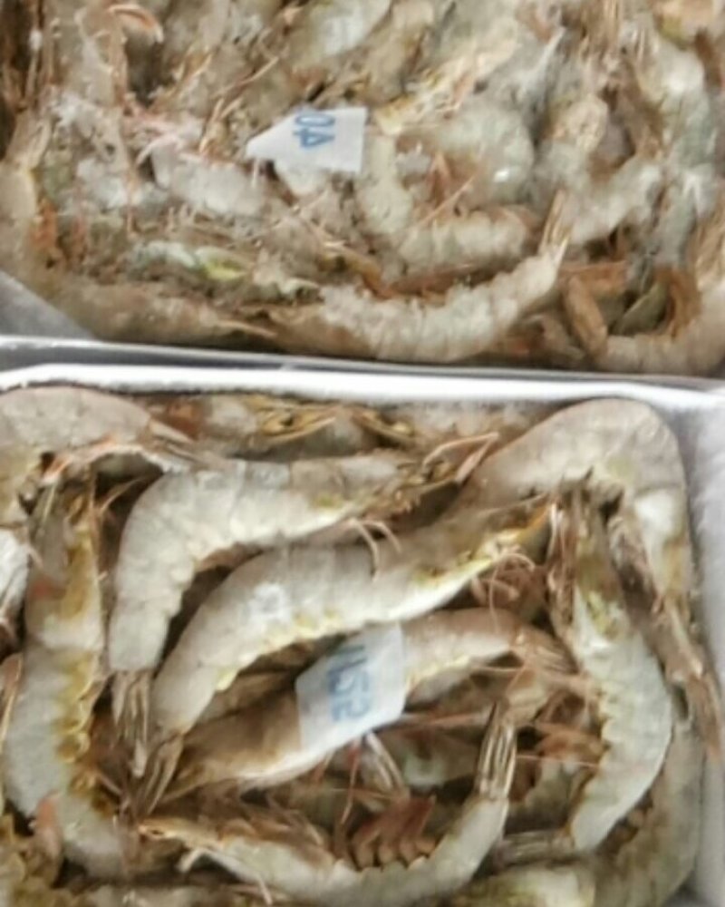 精品大青虾，去头虾，虾仁，国产大虾，价钱便宜，质量保障