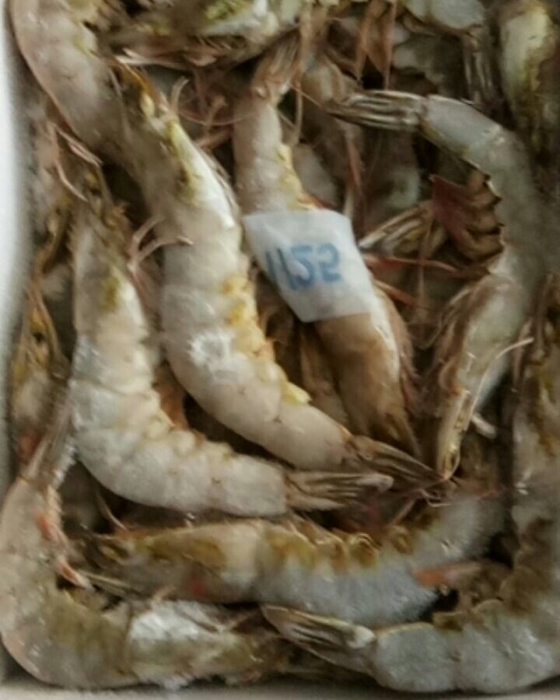 精品大青虾，去头虾，虾仁，国产大虾，价钱便宜，质量保障