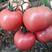冠晨368西红柿种子，粉果番茄种子，大果，抗病，高产