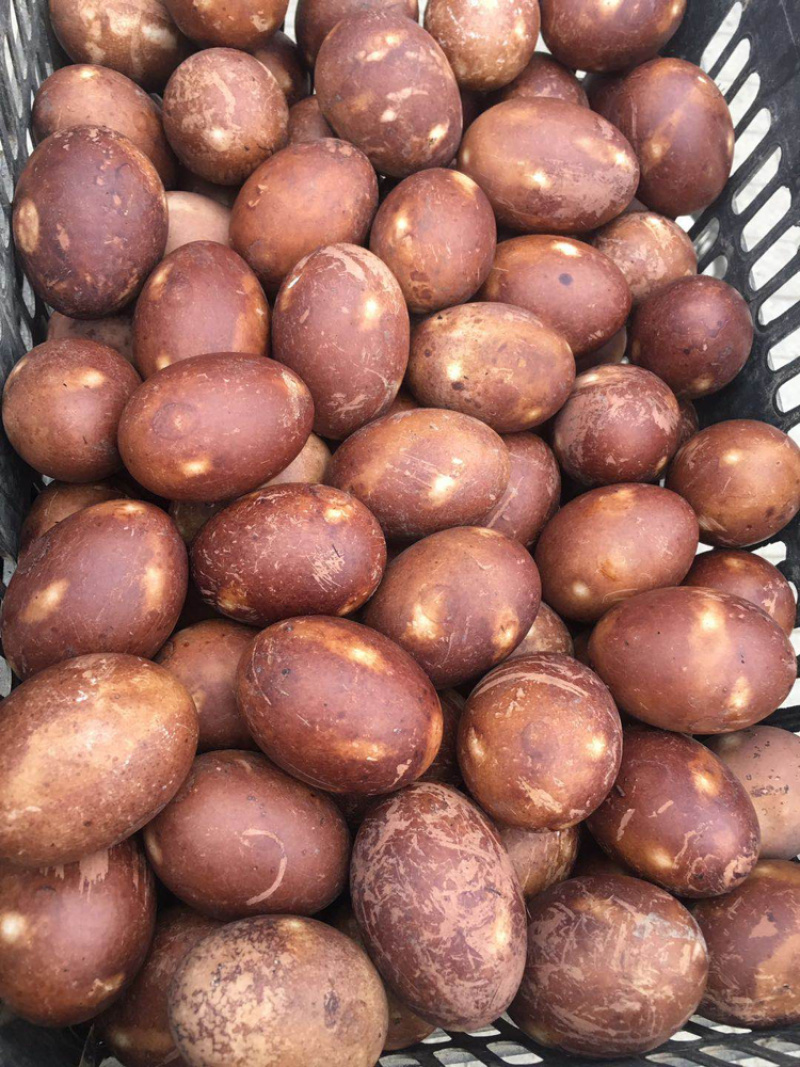 河北鸭蛋，新鲜带泥散黄腌蛋一手货源量大价优