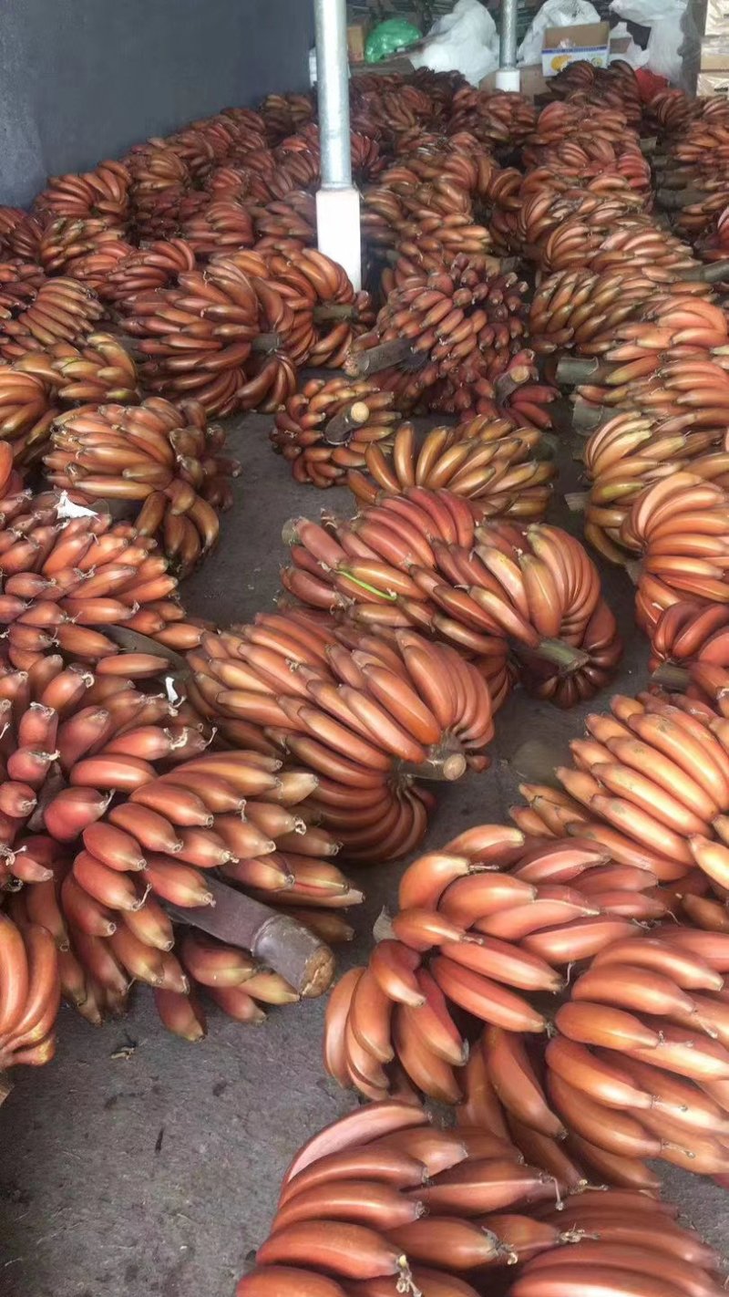 美人蕉，红香蕉，社区团购，一件代发，落地配