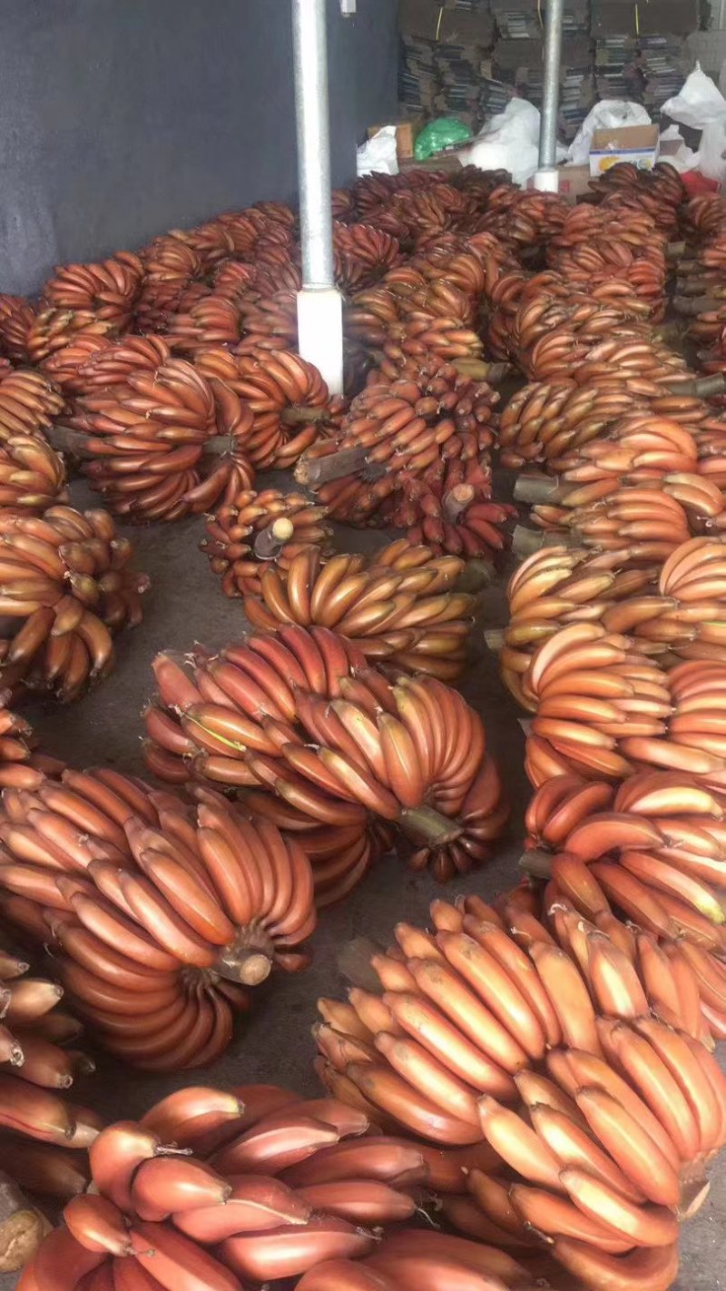 美人蕉，红香蕉，社区团购，一件代发，落地配