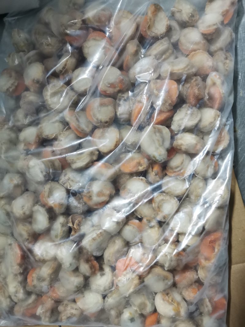 长岛扇贝肉价格面议质量保证带黄率高价格便宜
