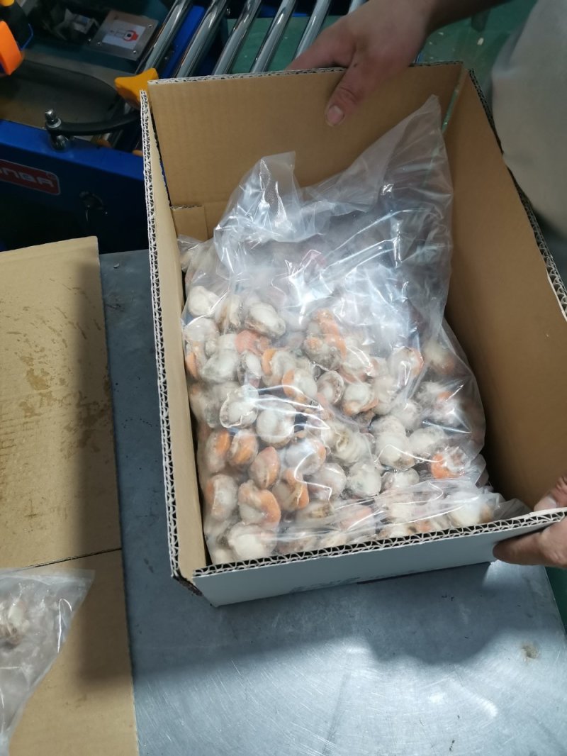 长岛扇贝肉价格面议质量保证带黄率高价格便宜