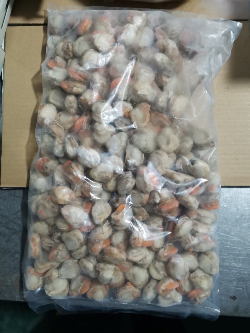 长岛扇贝肉价格面议质量保证带黄率高价格便宜