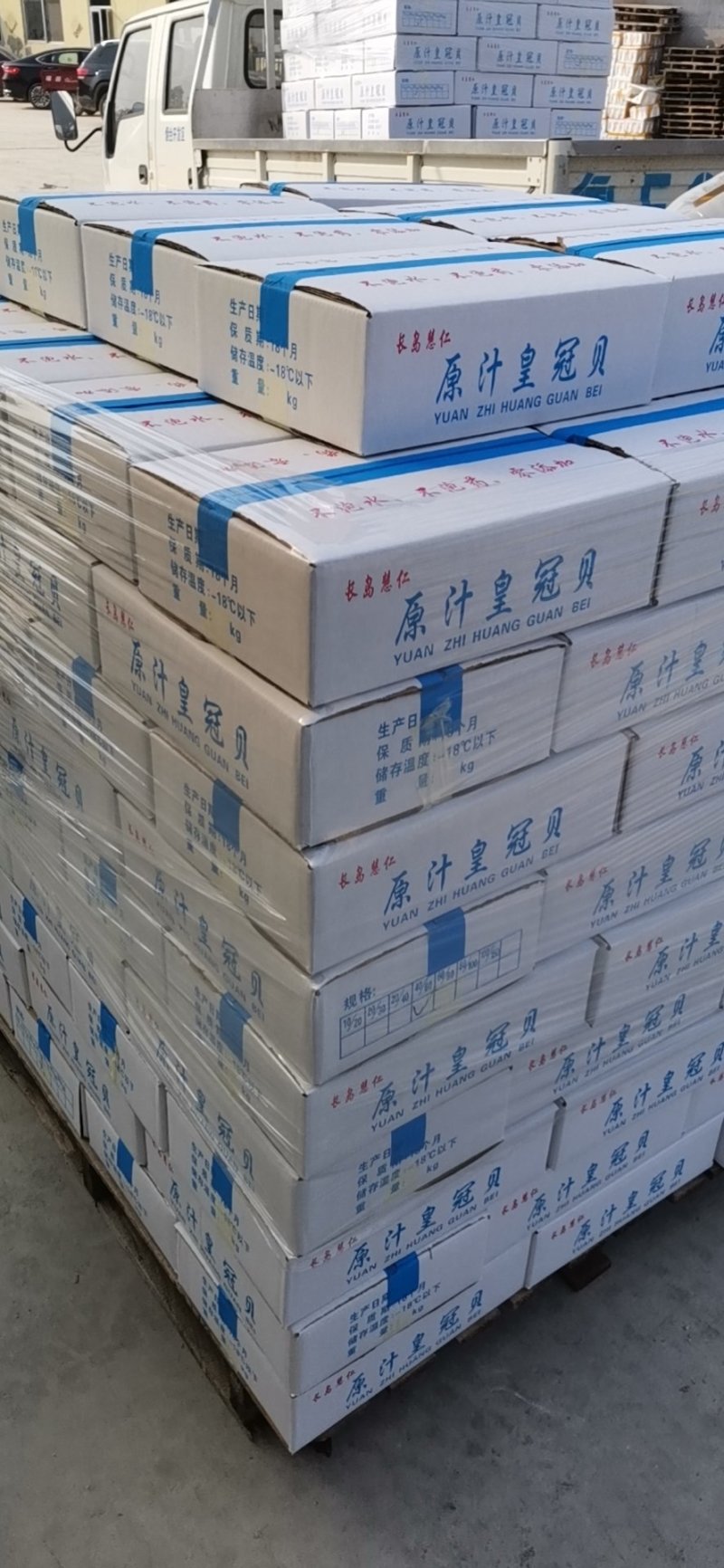 长岛扇贝肉价格面议质量保证带黄率高价格便宜