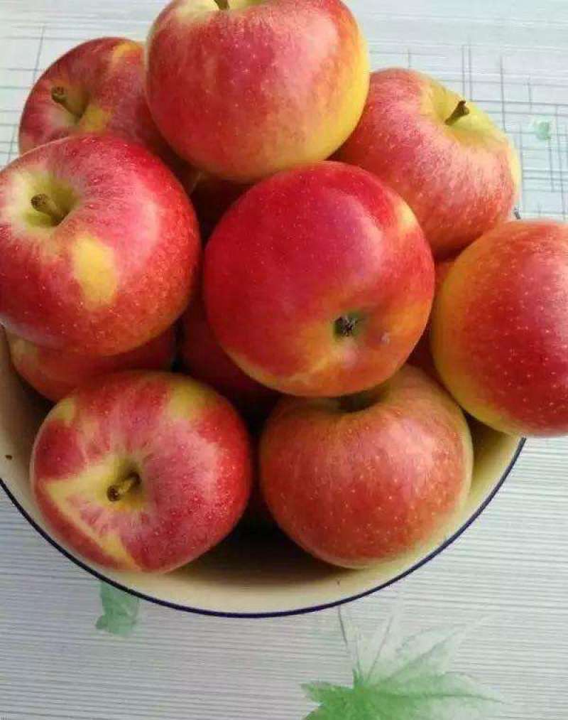 精品美八苹果，产地直供，货源充足，质量上乘，电话咨询