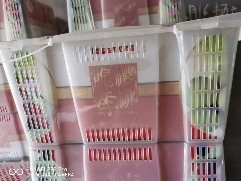 宜宾屏山脆红李金沙江独特的味道