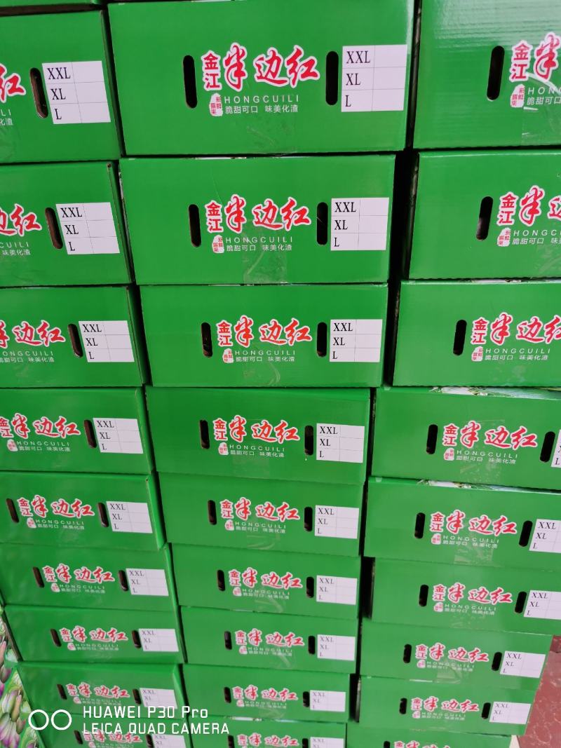 宜宾屏山脆红李金沙江独特的味道