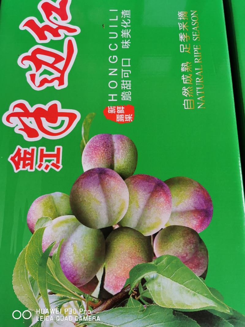 宜宾屏山脆红李金沙江独特的味道