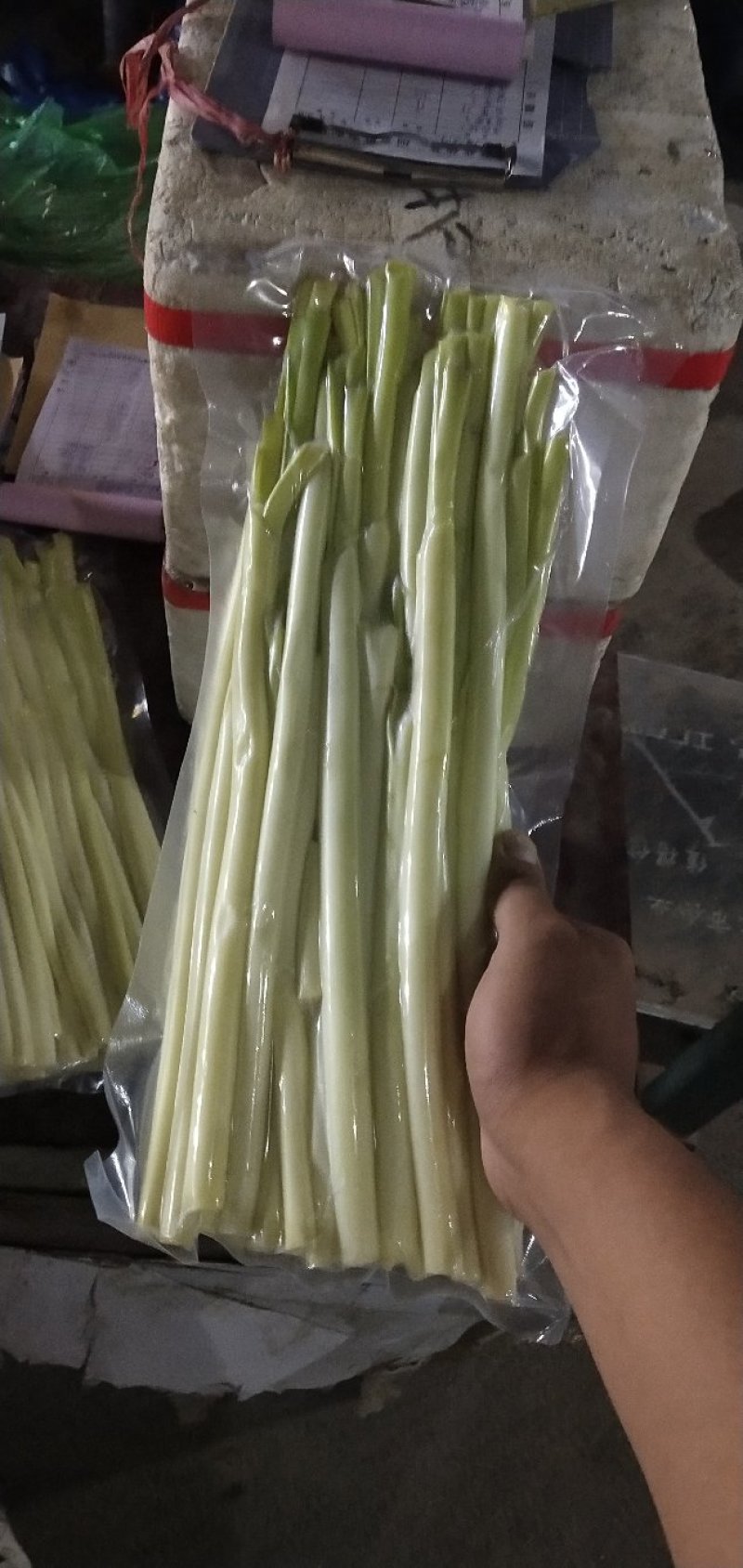 大明湖鲜蒲菜山东特产鲜蒲菜大明湖三白鲁菜代表菜