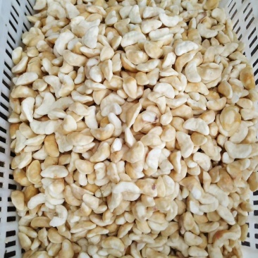 菱角米湖北天井湖新鲜菱角米产地供货欢迎咨询