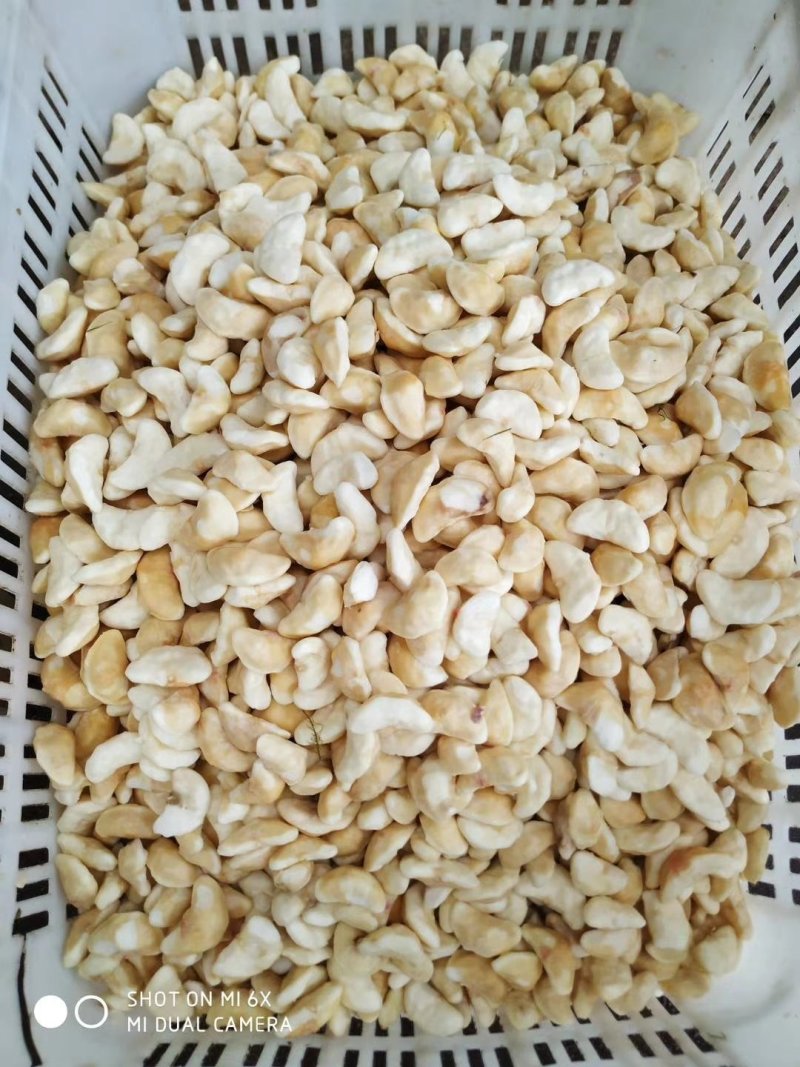 菱角米湖北天井湖新鲜菱角米产地供货欢迎咨询