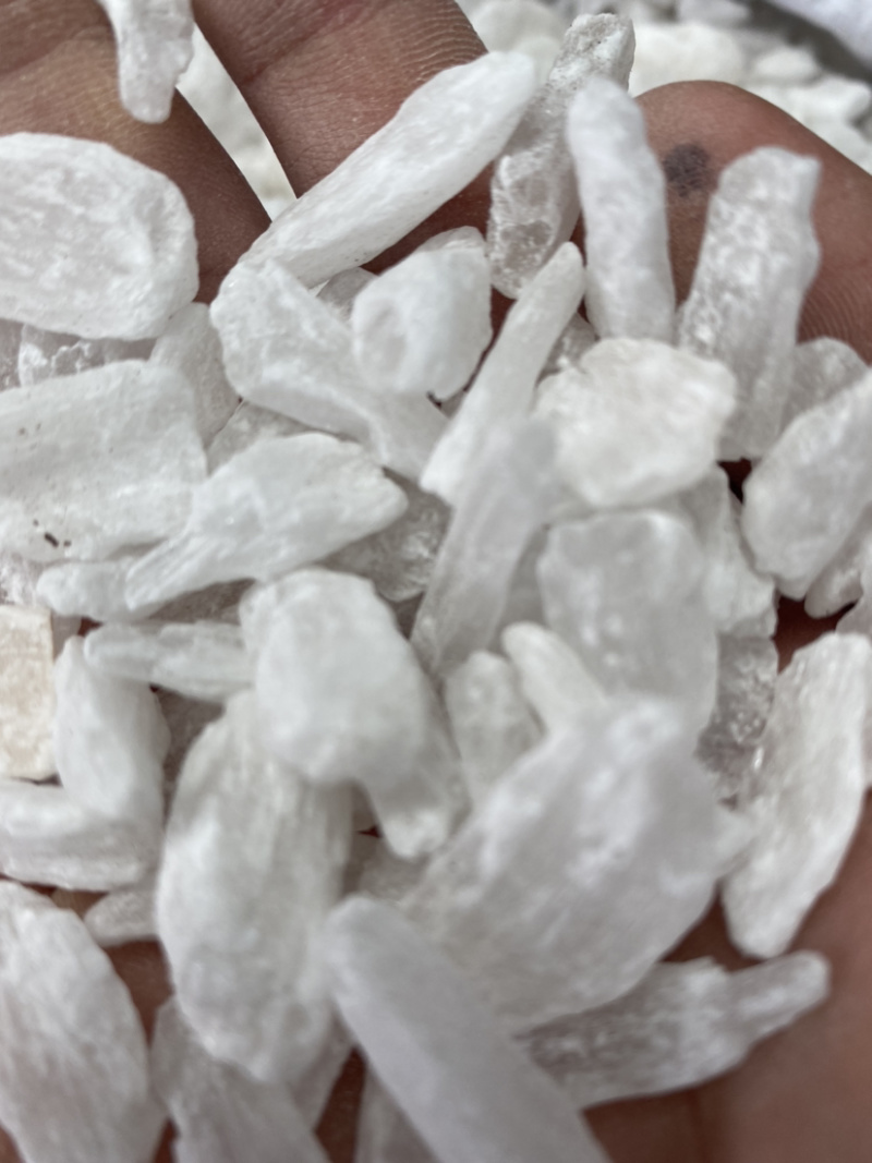 升麻东北货产地直销批发各种中药材