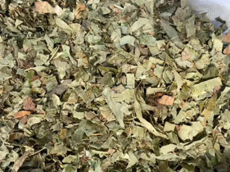 淫羊藿甘肃小片产地直销批发各种中药材