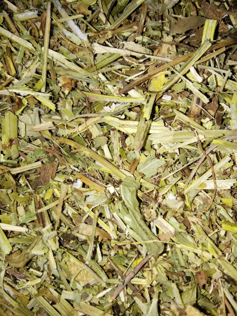 邯郸腾达花生秧