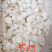 山药怀山药广山药质量很好量大从优