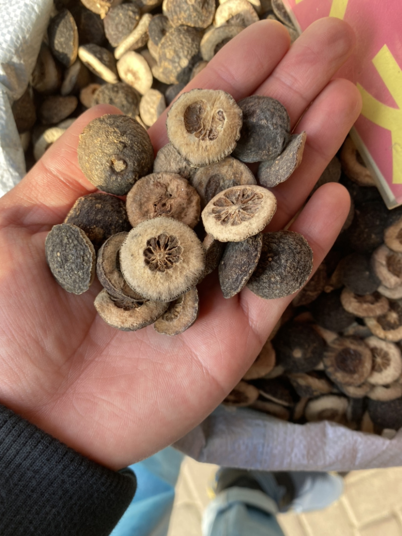 枳实产地直销江西货四川货量大从优批发各种中药材