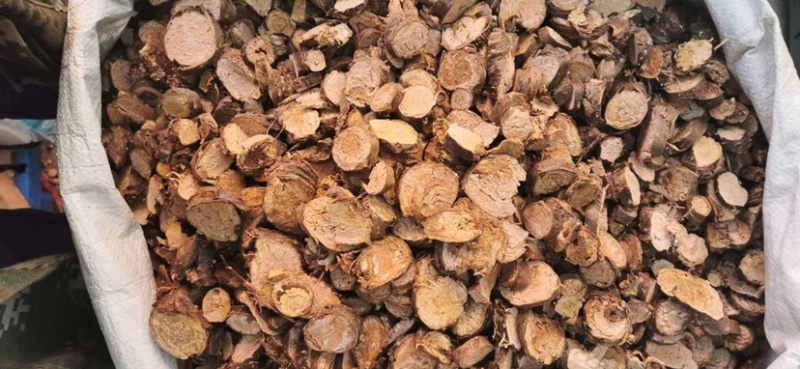 红景天产地直销批发各种中药材批发量大从优