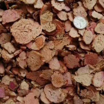 红景天产地直销批发各种中药材批发量大从优