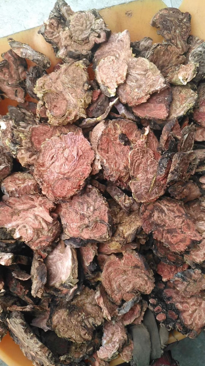 红景天产地直销批发各种中药材批发量大从优