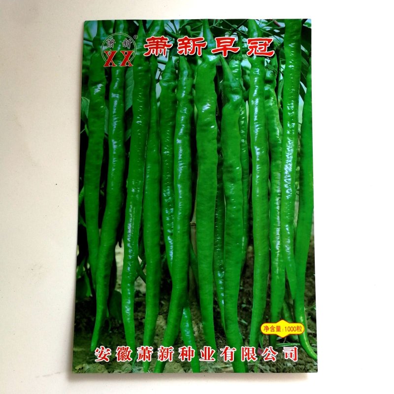 萧新早冠辣椒种子早熟果实细长羊角型
