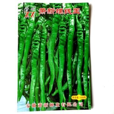 萧新螺线王辣椒种子早熟皮薄辣味香浓