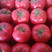 精品暖棚硬粉西红柿，品质好，价格优惠，场地直发。