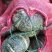 【加工厂】国产贝贝南瓜面甜包粉板栗南瓜电商市场