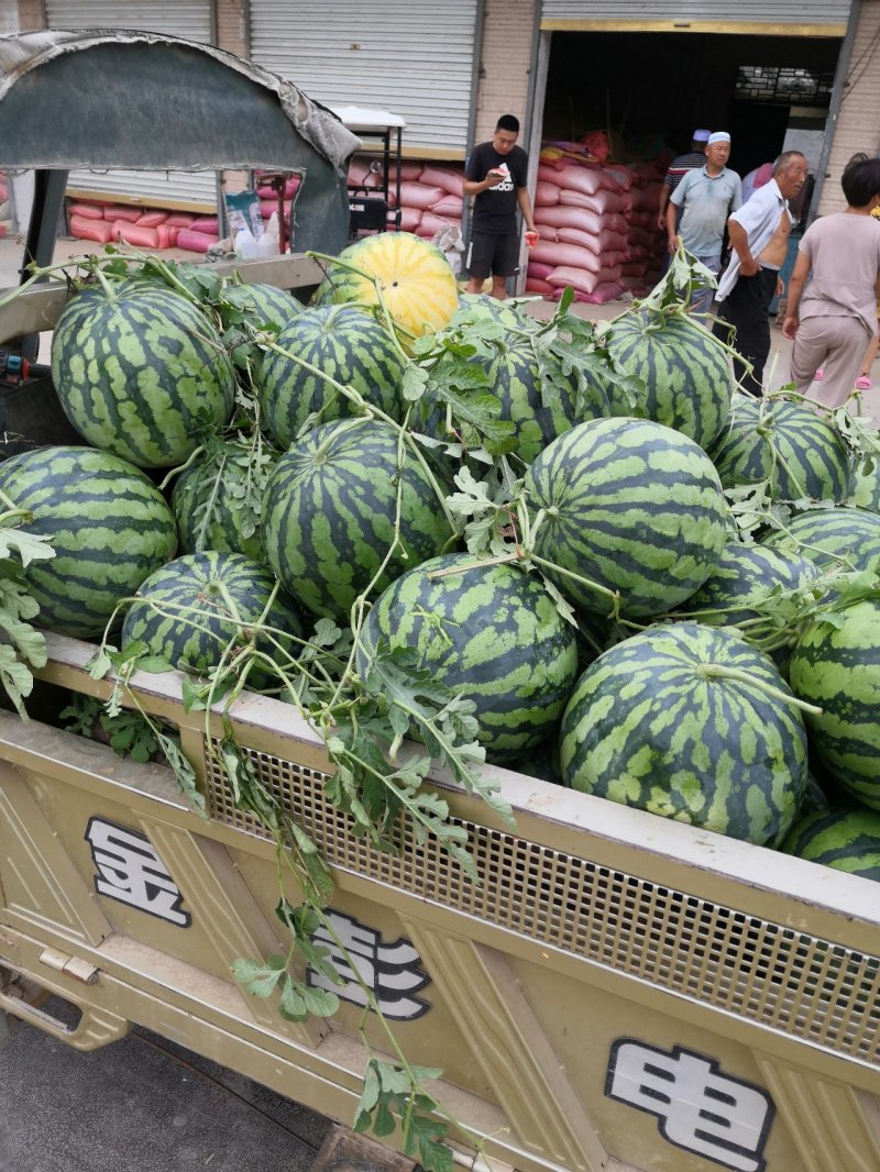 西瓜