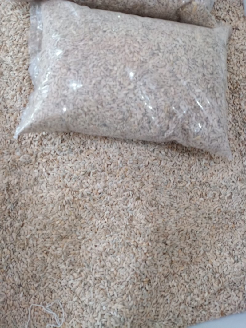 甜瓜子，产地直销，量大从优！经营各种中药材！