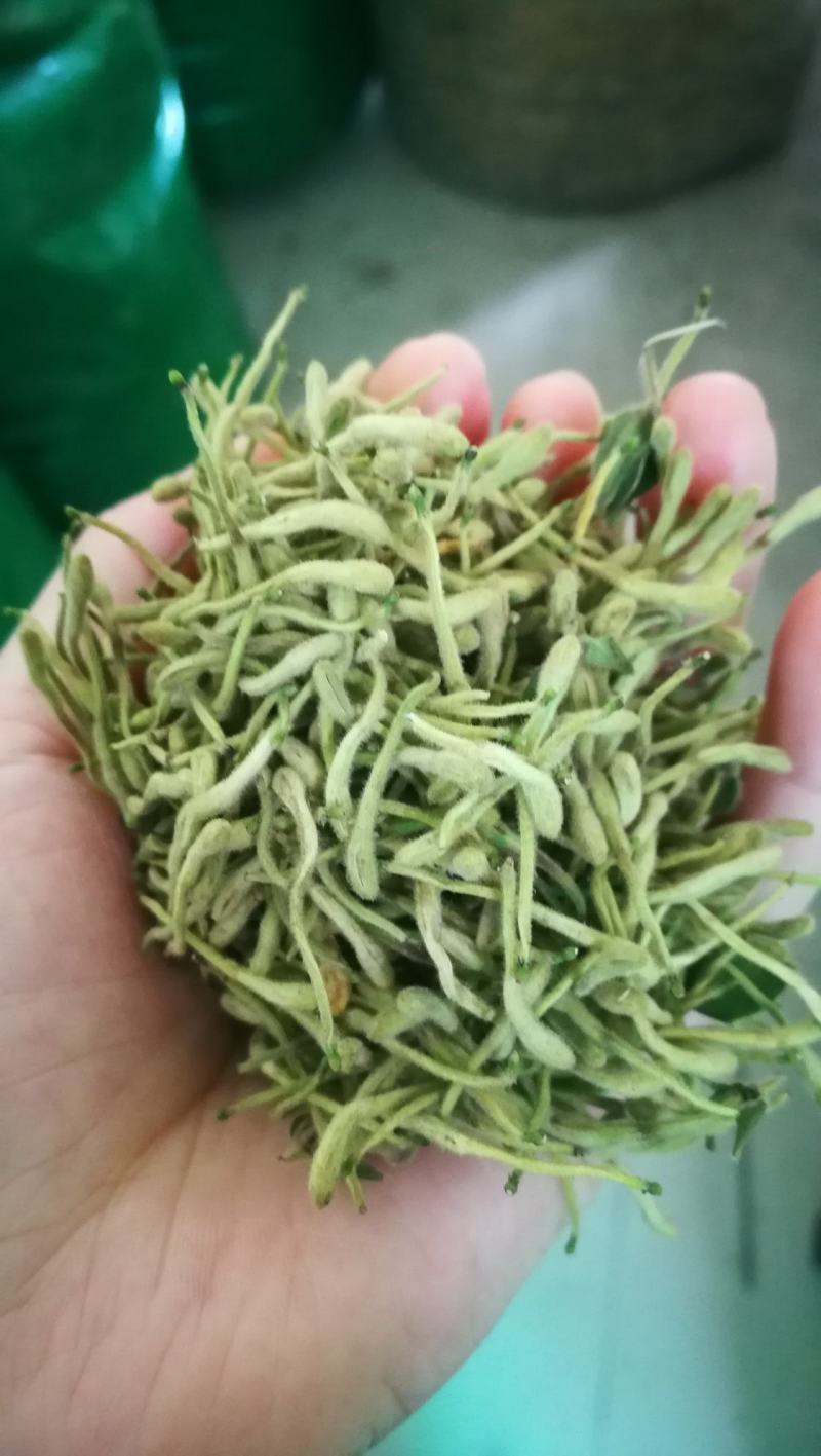 金银花干花，基地直供优质金银花、红色金银花