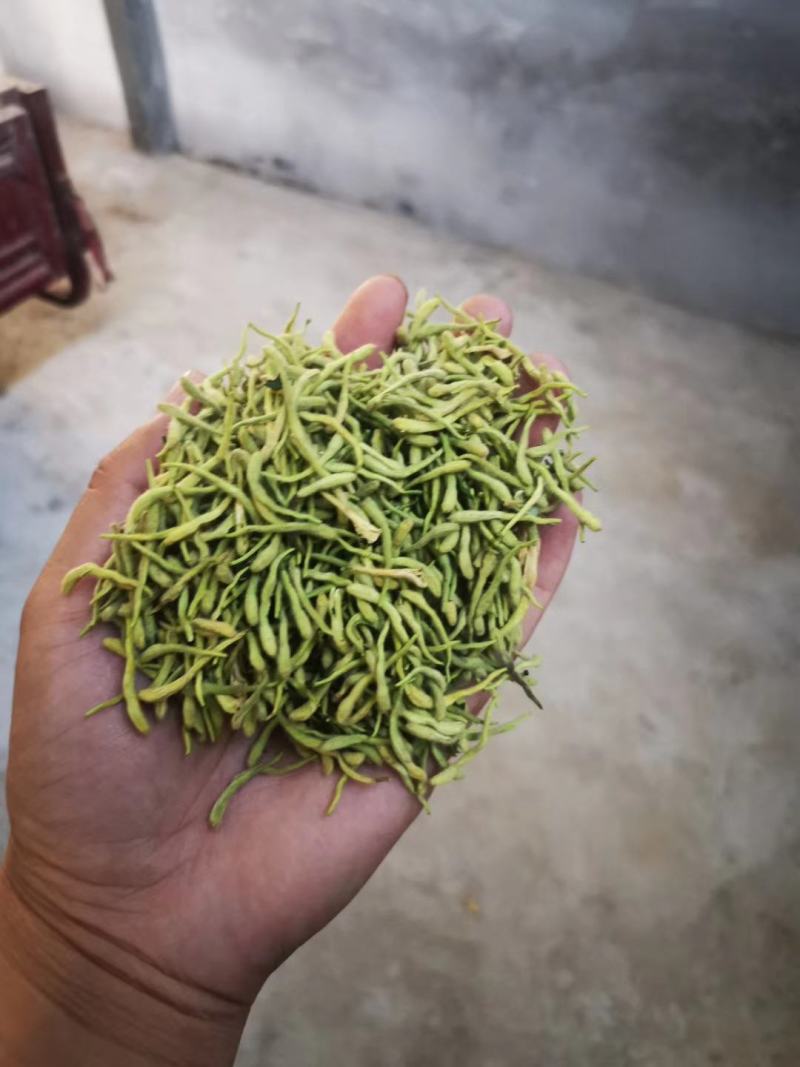 金银花干花，基地直供优质金银花、红色金银花