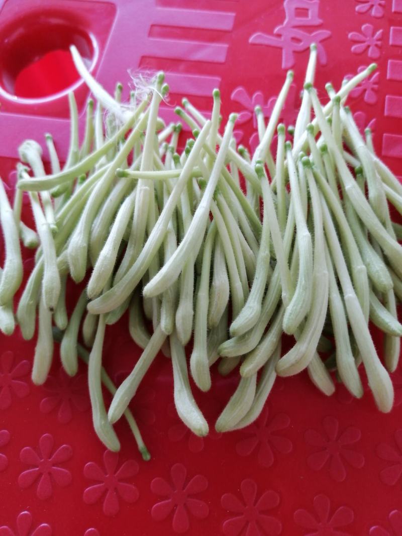 金银花干花，基地直供优质金银花、红色金银花