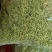 金银花干花，基地直供优质金银花、红色金银花