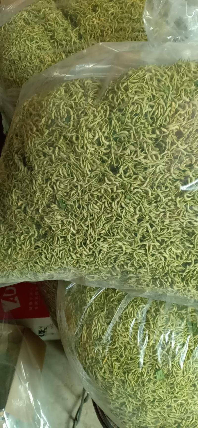 金银花干花，基地直供优质金银花、红色金银花