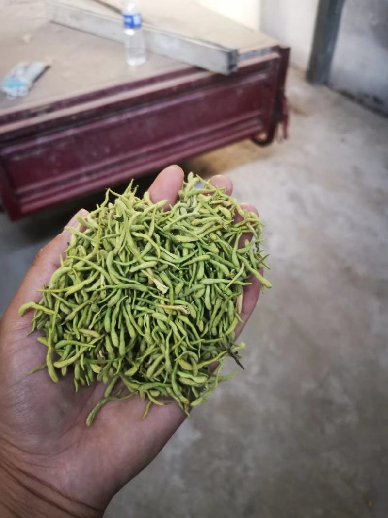 金银花干花，基地直供优质金银花、红色金银花
