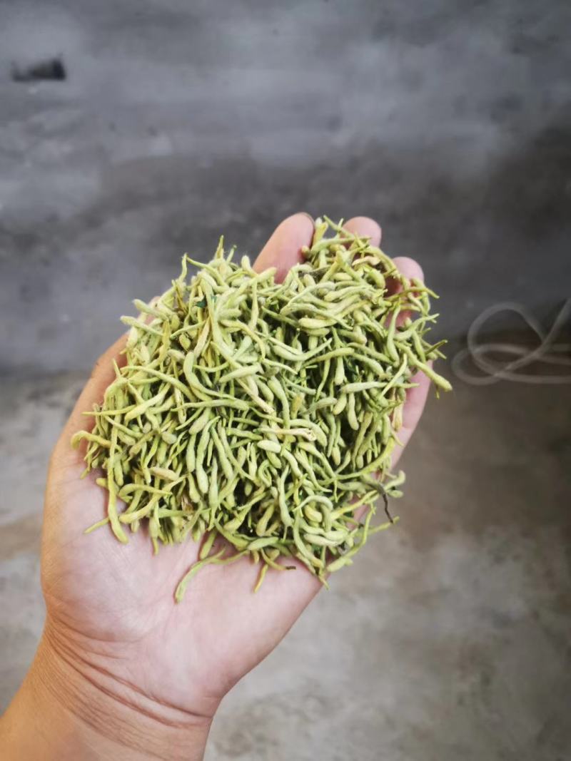 金银花干花，基地直供优质金银花、红色金银花