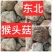 猴头菇～东北特产猴头菇！个大肉厚、香醇可口！
