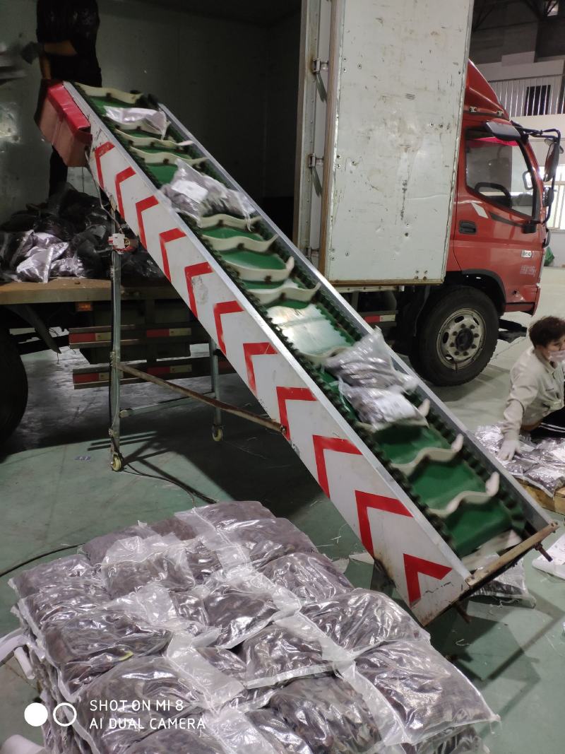 丹东板栗，产地代办，快递一件代发品质保证