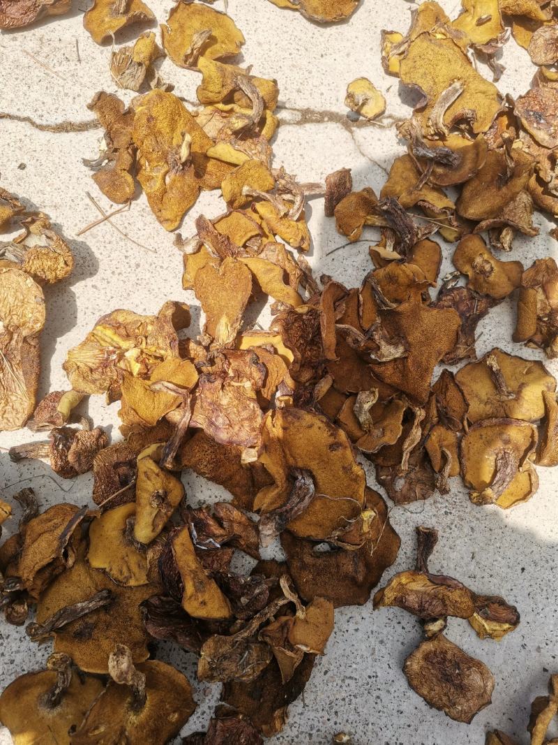 优质手挑自然干松蘑肉厚形好量大从优有需要联系