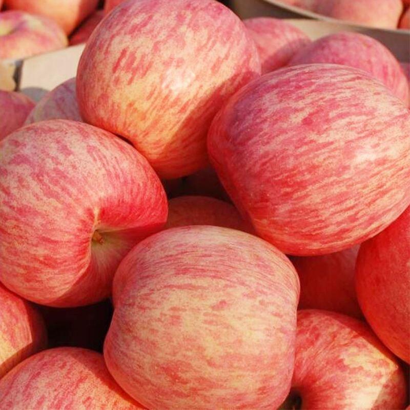 【保质保量】山东红富士苹果苹果对接商超电商市场零售