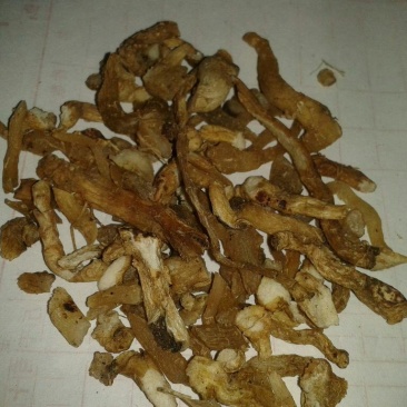 玉竹片玉竹干中药材农家初选zzzzzzz
