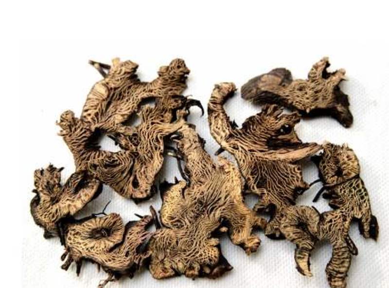 升麻干鬼脸升麻中药材农家初选ZZZZZZZ