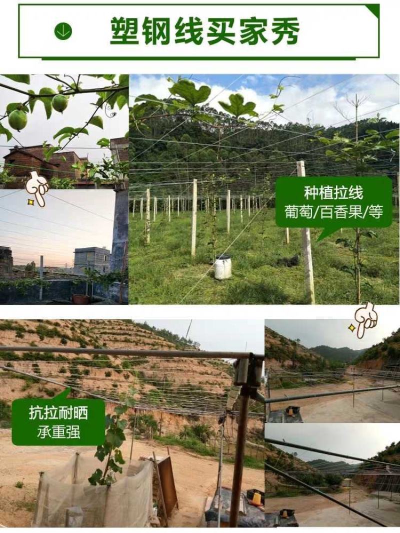 塑钢线葡萄架，百香果、猕猴桃、西红柿搭架线