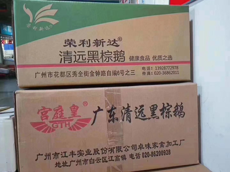 广东黑棕鹅，正宗黑棕鹅，新鲜鹅条保质保量量大价优