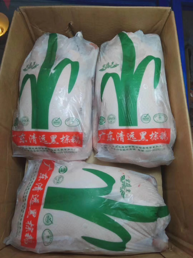 广东黑棕鹅，正宗黑棕鹅，新鲜鹅条保质保量量大价优