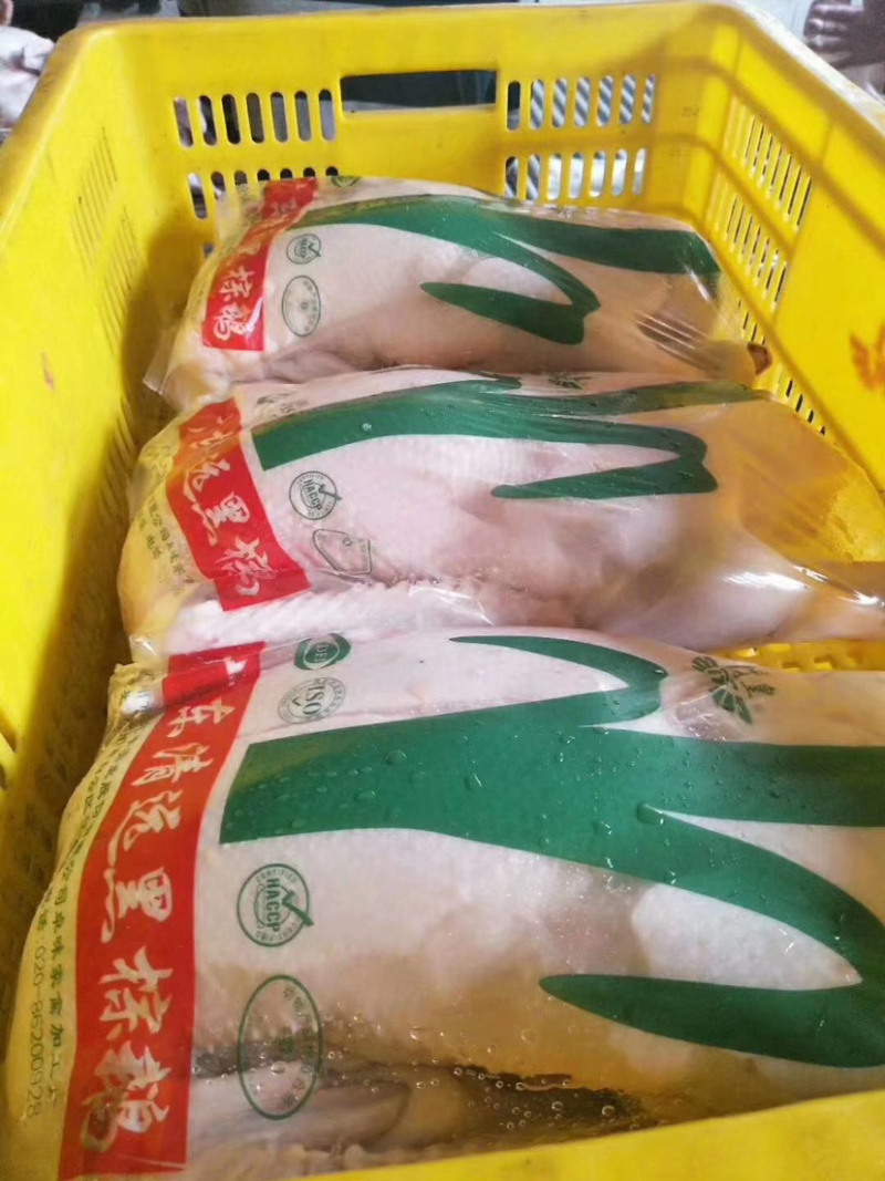 广东黑棕鹅，正宗黑棕鹅，新鲜鹅条保质保量量大价优